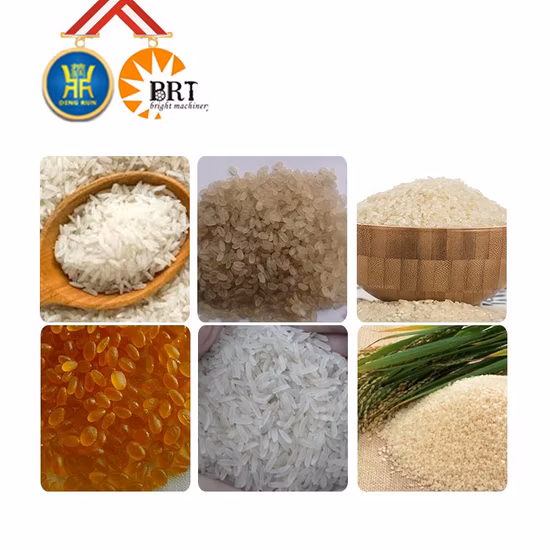 Traitement nutritionnel d'extrusion d'acier inoxydable faisant la machine artificielle de riz